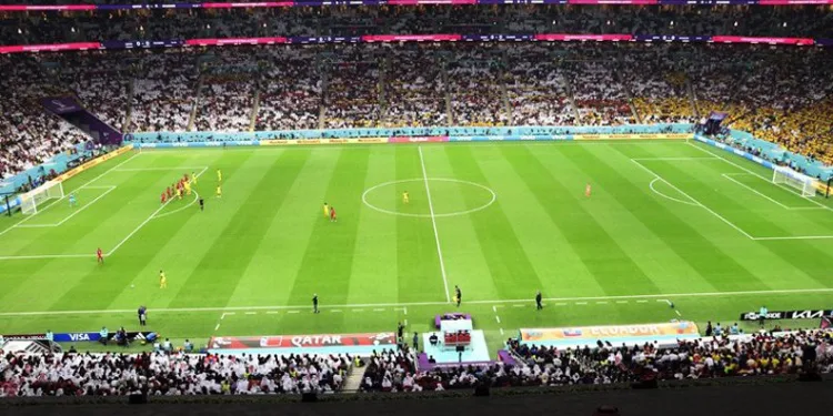 Erdoğan, Dünya Kupası açılış törenine katıldı