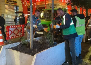 İstiklal Caddesi’nde ağaçlar kaldırılıyor