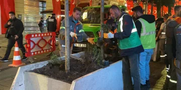 İstiklal Caddesi’nde ağaçlar kaldırılıyor