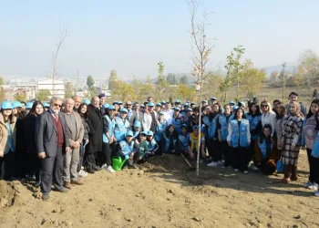 Yıldırım’da 225 bin 250 ağaç kurtarıldı