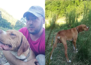 Köpeğini getirene kuzu hediye edecek