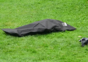 Denizli’de parkta erkek cesedi bulundu