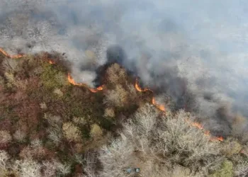 Bursa’da ormanlık alanda korkutan yangın