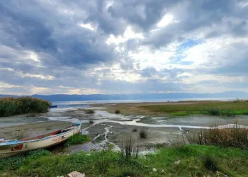 İznik Gölü’nde tehlike çanları çalıyor