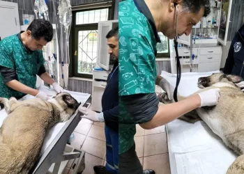 Bursa’da örnek davranış