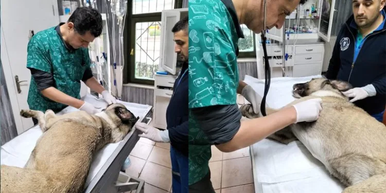 Bursa’da örnek davranış