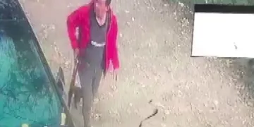 Sokak köpeğine ateş açtı