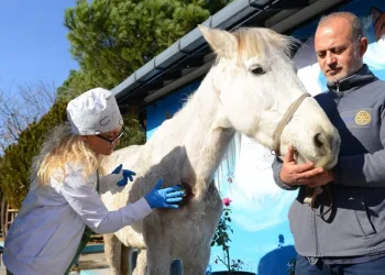 Bursa’da ata şiddet uygulayıp ölüme terk ettiler