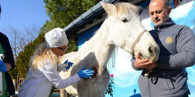 Bursa’da ata şiddet uygulayıp ölüme terk ettiler