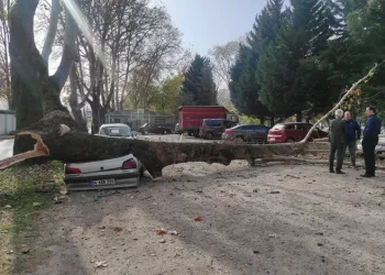 Sakarya’da facianın eşiğinden dönüldü