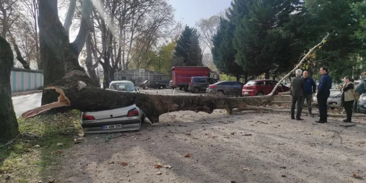 Sakarya’da facianın eşiğinden dönüldü