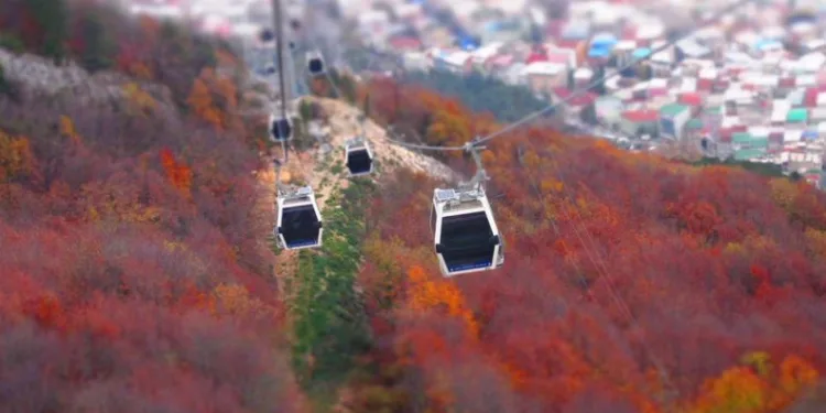 Teleferiğe şiddetli rüzgar engeli