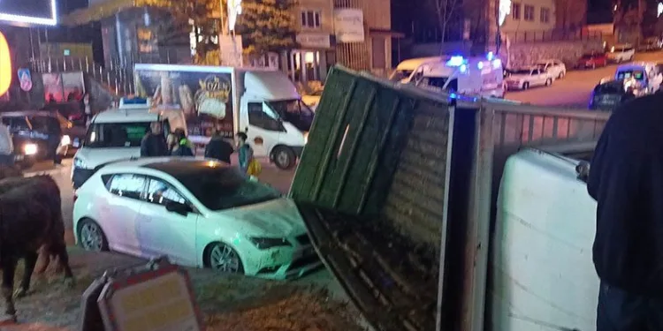 Büyükbaş hayvan yüklü kamyon devrildi