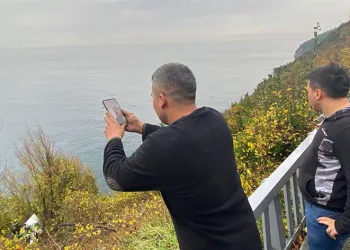 Zongıldak’ta otomobili ağaç dalları kurtardı