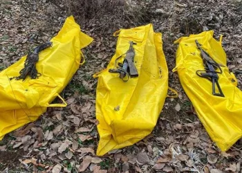 Şırnak’ta teröristler etkisiz hale getirildi