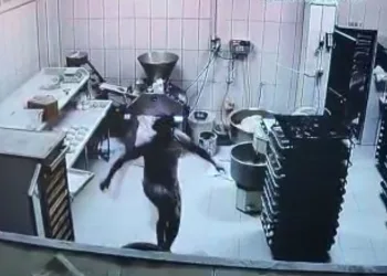 Dehşet saçan üvey babaya hapis cezası