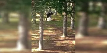 Köpeği kemerle döven şahıs yakalandı