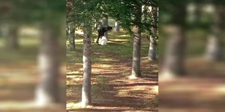 Köpeği kemerle döven şahıs yakalandı