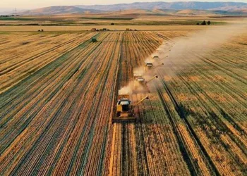 Tarım-GFE yıllık yüzde 134,76 arttı