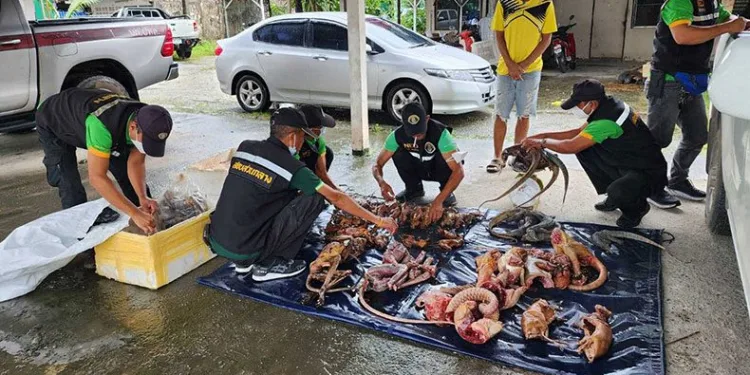 Otomobilinden kaçak hayvan ceseteleri çıktı