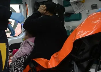 Tekirdağ’da başıboş köpek çocuğa saldırdı