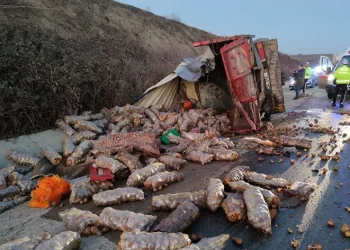 Tekirdağ’da kamyon ile otobüs çarpıştı
