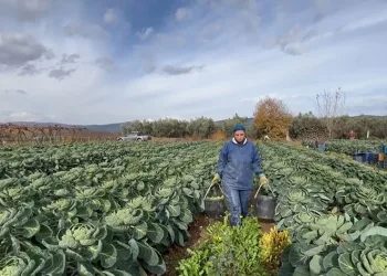 Bursa’dan12 bin ton ihraç ediliyor
