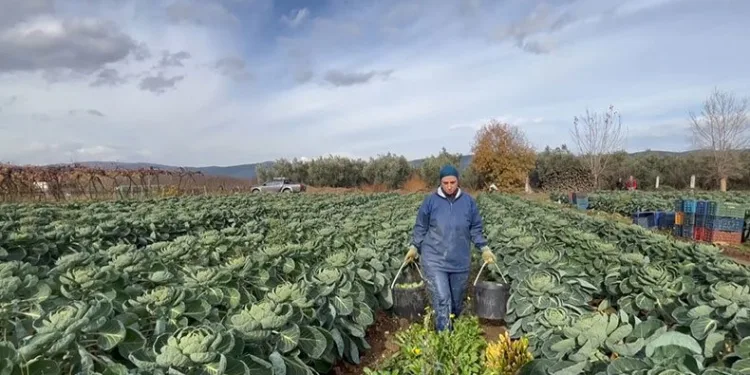 Bursa’dan12 bin ton ihraç ediliyor