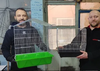 Abi kardeşin dede mirası meslekleri