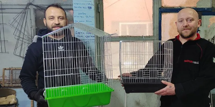 Abi kardeşin dede mirası meslekleri