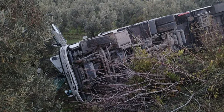Zeytinliğe devrilen tırda sürücü yaralandı
