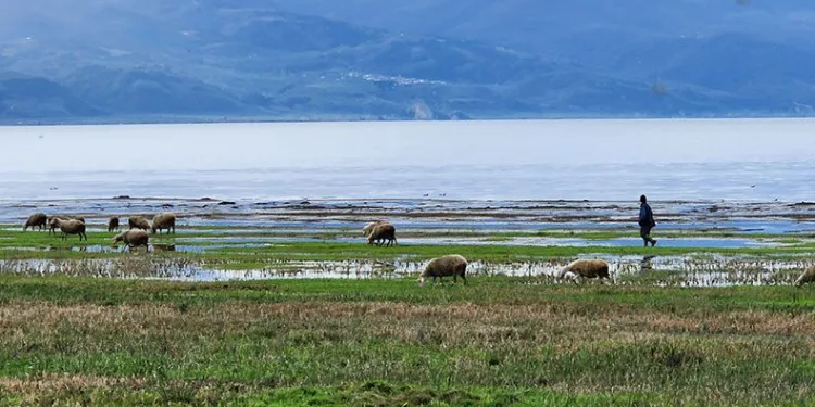 DSİ’den İznik Gölü’ne kısıtlama