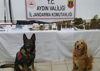 Didim’de evinden samuray kılıcı çıktı