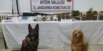 Didim’de evinden samuray kılıcı çıktı