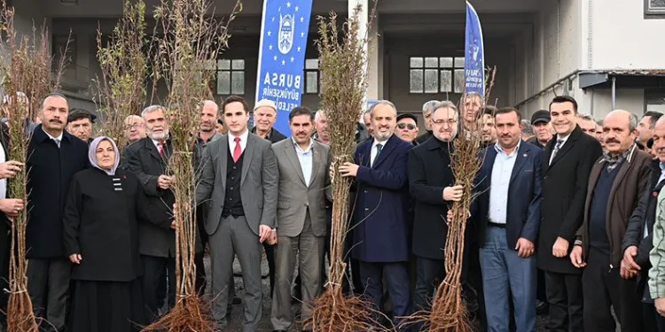 Kırsaldaki çiftçilere 20 bin fidan