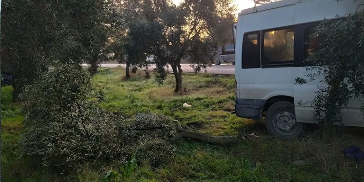 Zeytin işçilerini taşıyan minibüse tır çarptı