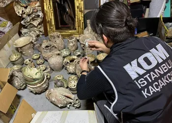 Kadıköy’de yabani hayvan boynuzu operasyonu