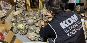 Kadıköy’de yabani hayvan boynuzu operasyonu