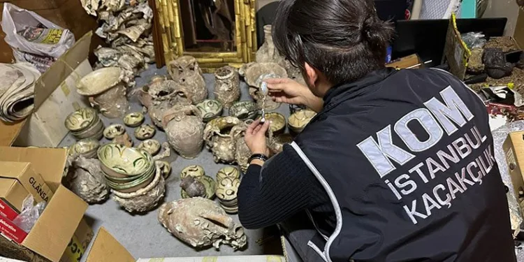 Kadıköy’de yabani hayvan boynuzu operasyonu