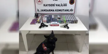 Sigara kaçakçısı jandarmadan kaçamadı