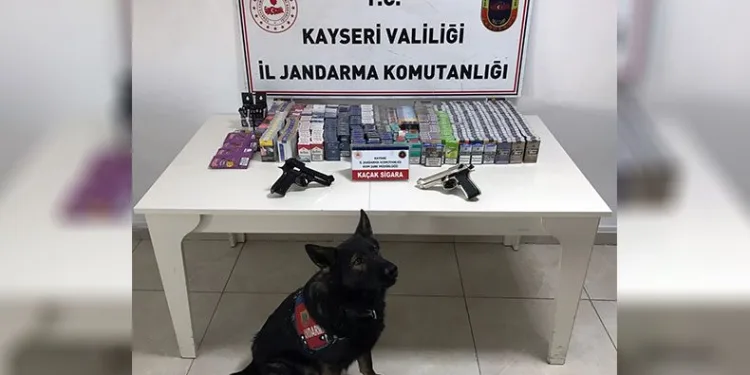 Sigara kaçakçısı jandarmadan kaçamadı