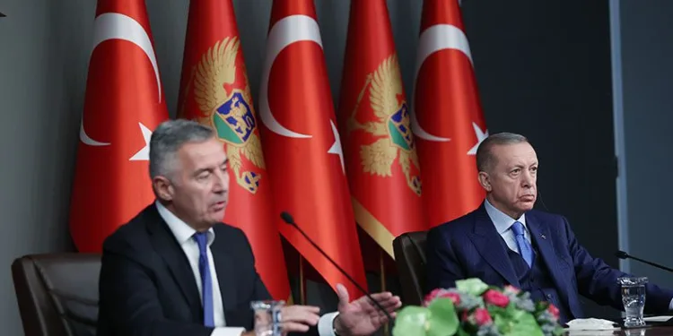 “NATO müttefikimizi destekliyoruz”