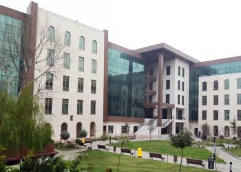 Bursa Hayvanat Bahçesi’nin yeni üyeleri bebek tilkiler