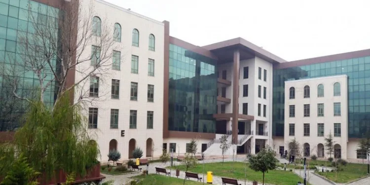Bursa Hayvanat Bahçesi’nin yeni üyeleri bebek tilkiler
