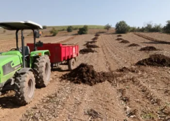 Bursa’da çiftçilerin tercihi hayvan gübresi