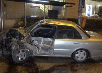 Alkollü sürücü kırık koluyla ortalığı birbirine kattı
