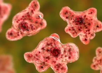 “Naegleria fowleri” ilk kez öldürdü