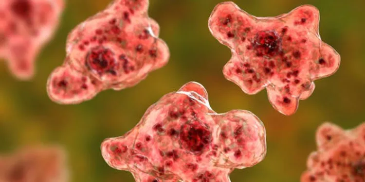 “Naegleria fowleri” ilk kez öldürdü