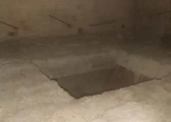 Su kuyusuna düşen köpek kurtarıldı