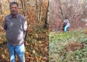 Bursa’da ormanda odun kesen muhtara domuz saldırdı